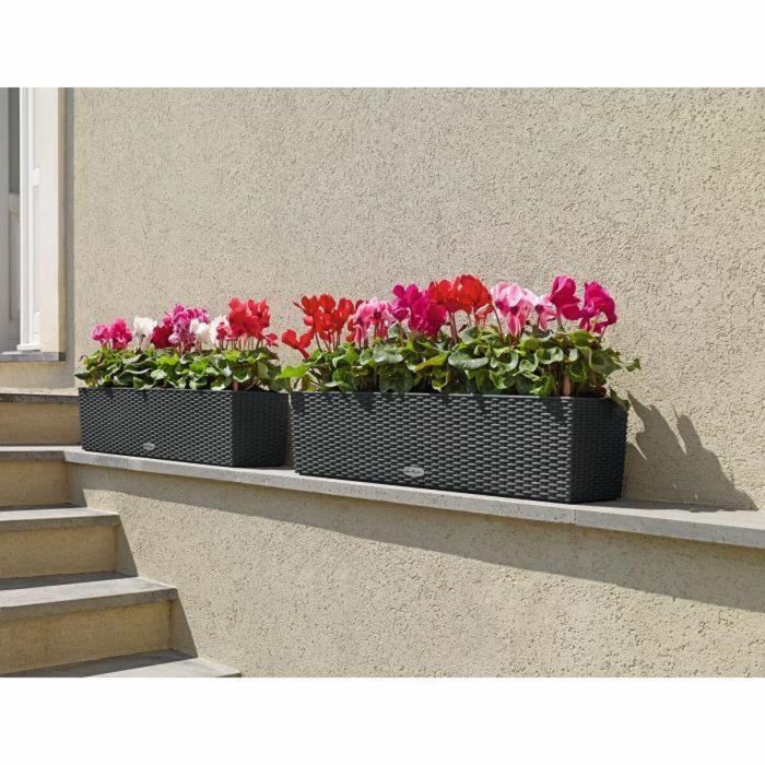 Lechuza LEC4008789156129 Jardinera Balconera casita 80 Kit Completo Granito 12L 5 Lechuza LEC4008789156129 Jardinera Balconera casita 80 Kit Completo Granito 12L 5