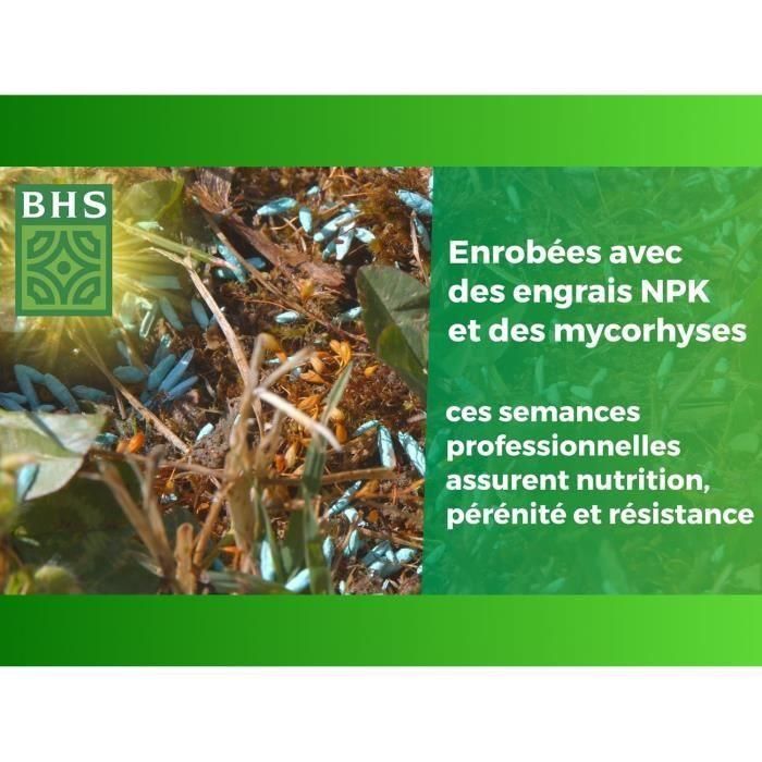 BHS BHS3366670322789 Césped inglés 3 kg para jardines premium 1