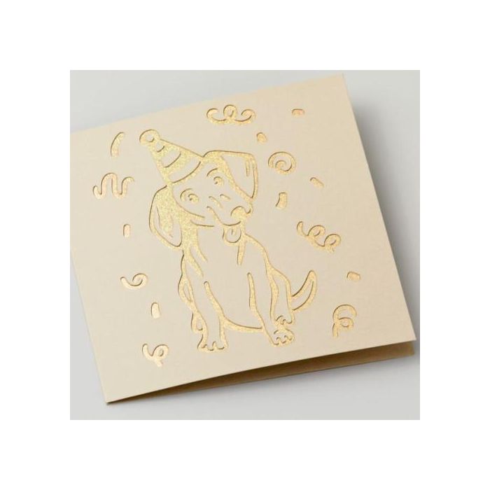 Cricut 2009483 cartón y papel de construcción 24 hojas 2 Cricut 2009483 cartón y papel de construcción 24 hojas 2