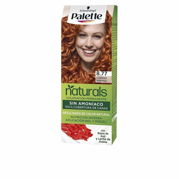 Tinte Permanente Palette Natural Schwarzkopf 2