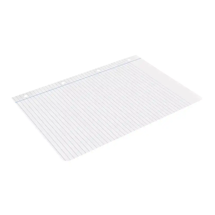 Liderpapel Recambio A4 100 Hojas 100gr Rayado Horizontal con Margen 4 Taladros 6