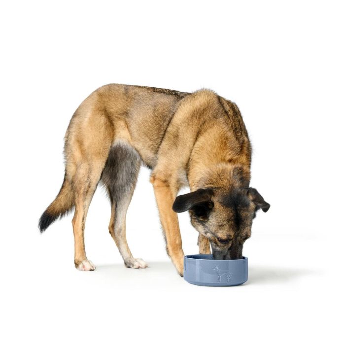 Comedero para Perro Hunter OSBY Azul Cerámica 350 ml 3 Comedero para Perro Hunter OSBY Azul Cerámica 350 ml 3