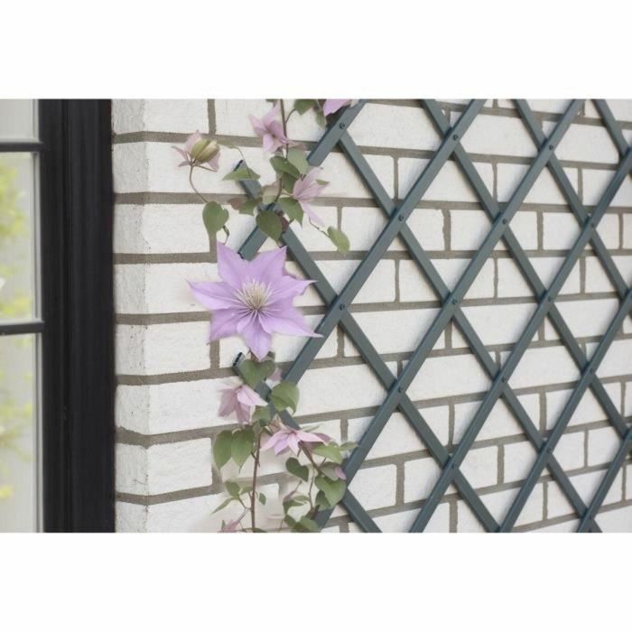 Nature NAT8711338407134 Enrejado Extensible Plástico Antracita 50 x 150 cm 0 Nature NAT8711338407134 Enrejado Extensible Plástico Antracita 50 x 150 cm 0