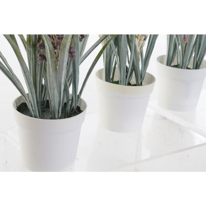 Planta DKD Home Decor Amarillo Burdeos 9 x 28 x 9 cm (12 Unidades) 1 Planta DKD Home Decor Amarillo Burdeos 9 x 28 x 9 cm (12 Unidades) 1