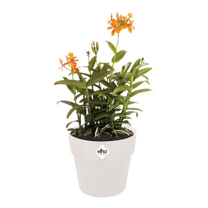 Maceta Elho Blanco Plástico Redondo Ø 35 cm Ø 35 x 32 cm 4