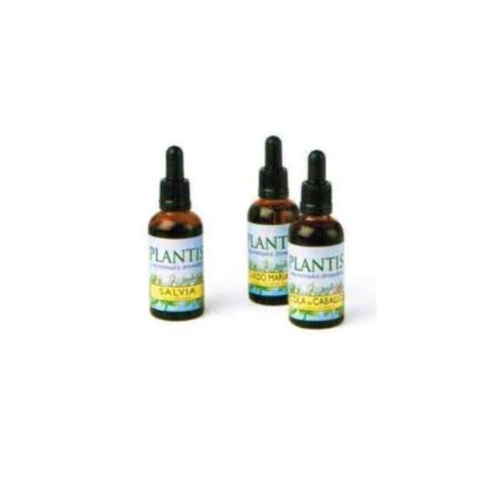 Maese Herbario Extracto de Manzanilla 50ml - Digestivo, Antiinflamatorio y Sedante, Matricaria chamomilla