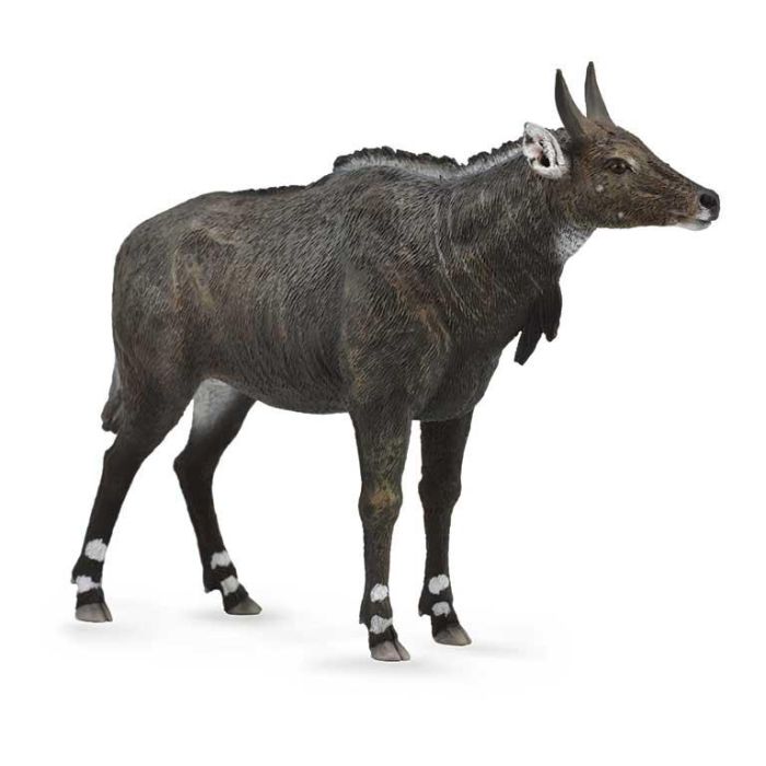 Collecta 88764 Nilgai - Figura réplica a escala detallada, pintada a mano, ideal juguete educativo de animal para niños +3 años Collecta 88764 Nilgai - Figura réplica a escala detallada, pintada a mano, ideal juguete educativo de animal para niños +3 años