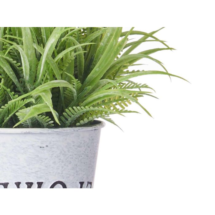 Planta Flor Verde Envejecid Bote Metal 23Cm Surtidos Ibergarden (12 Unidades) 3 Planta Flor Verde Envejecid Bote Metal 23Cm Surtidos Ibergarden (12 Unidades) 3