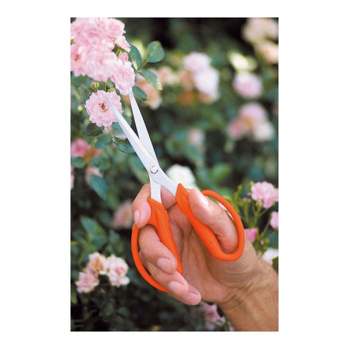 Stocker Tijera para florista 19,5 cm - Prácticas y ligeras para cortar flores y ramas finas 1 Stocker Tijera para florista 19,5 cm - Prácticas y ligeras para cortar flores y ramas finas 1