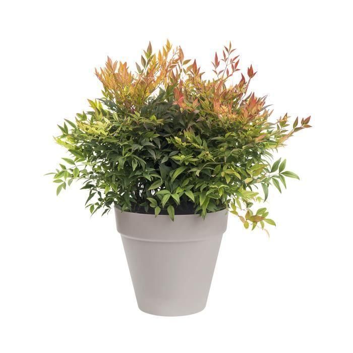 Maceta Elho Urban Gris Redondo Ø 20 cm 1 Maceta Elho Urban Gris Redondo Ø 20 cm 1