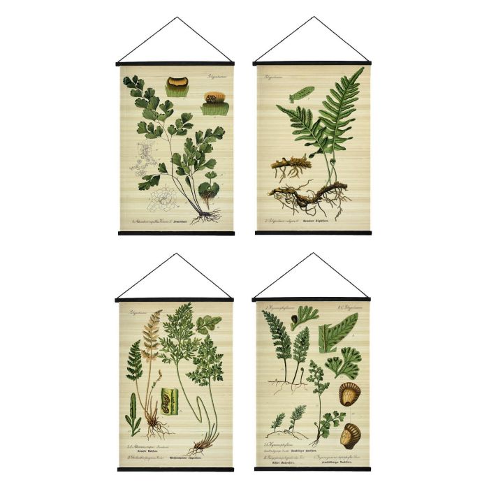 DKD Home Decor Lienzo Decorativo Botánico Cottage Beige y Verde 2x90x60 cm Pack de 4 Unidades Diseños Aleatorios