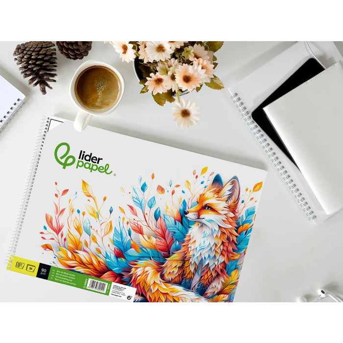 Liderpapel Bloc Dibujo Escolar Espiral 230x325mm 20 Hojas 90 gr/m2 con Recuadro 2