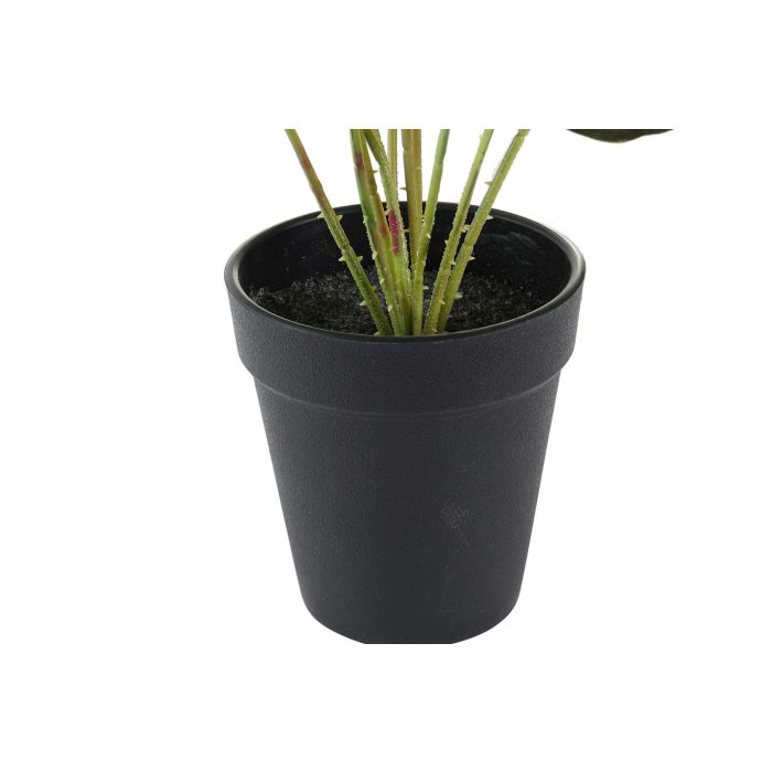 Planta Decorativa DKD Home Decor Rosa Verde PE (10 x 10 x 27 cm) 2 Planta Decorativa DKD Home Decor Rosa Verde PE (10 x 10 x 27 cm) 2
