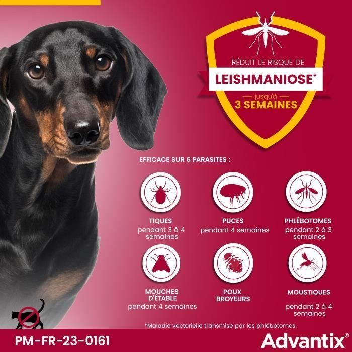 Pipetas antiparasitarias ADVANTIX 6: para perros muy pequeños de 1,5 a 4 kg 3 Pipetas antiparasitarias ADVANTIX 6: para perros muy pequeños de 1,5 a 4 kg 3