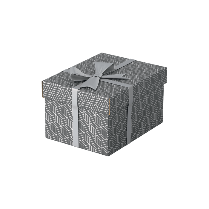 Esselte Caja de almacenamiento de cartón gris con asas, Pack de 3 unidades, Dimensiones 255x200x150 mm 1