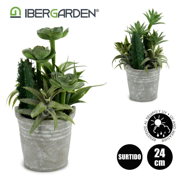 Maceta Cactus Plantas Redonda Surtido 2 Ibergarden 15X24CM (12 Unidades) 3 Maceta Cactus Plantas Redonda Surtido 2 Ibergarden 15X24CM (12 Unidades) 3