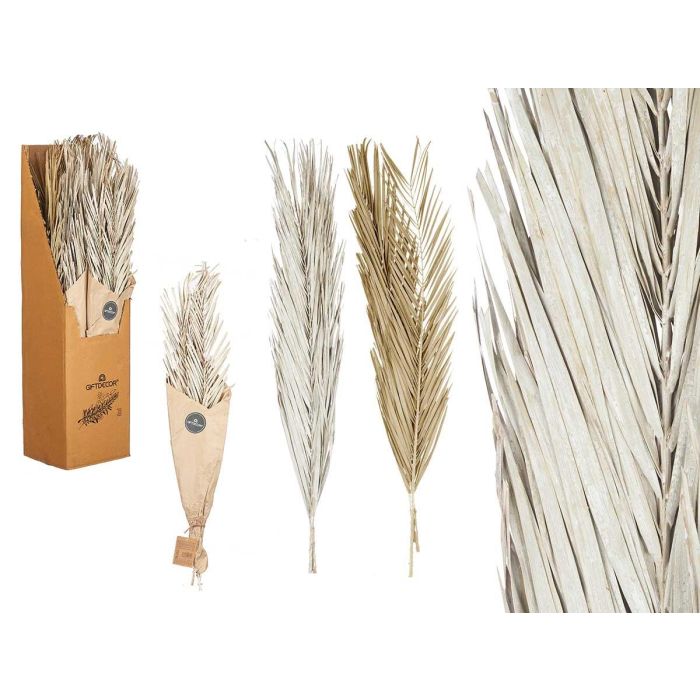 Giftdecor Ramillete Hojas Palmera Surt Blanco y Natural 20x100x4 cm (20 Unidades) Giftdecor Ramillete Hojas Palmera Surt Blanco y Natural 20x100x4 cm (20 Unidades)