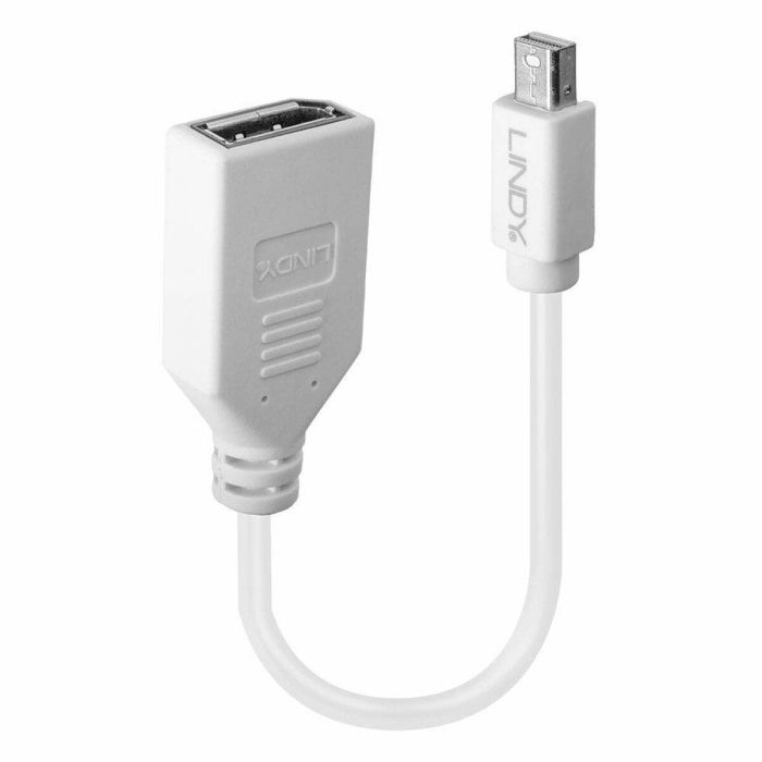 Adaptador Mini DisplayPort a DisplayPort LINDY 41021 Blanco 1 Adaptador Mini DisplayPort a DisplayPort LINDY 41021 Blanco 1