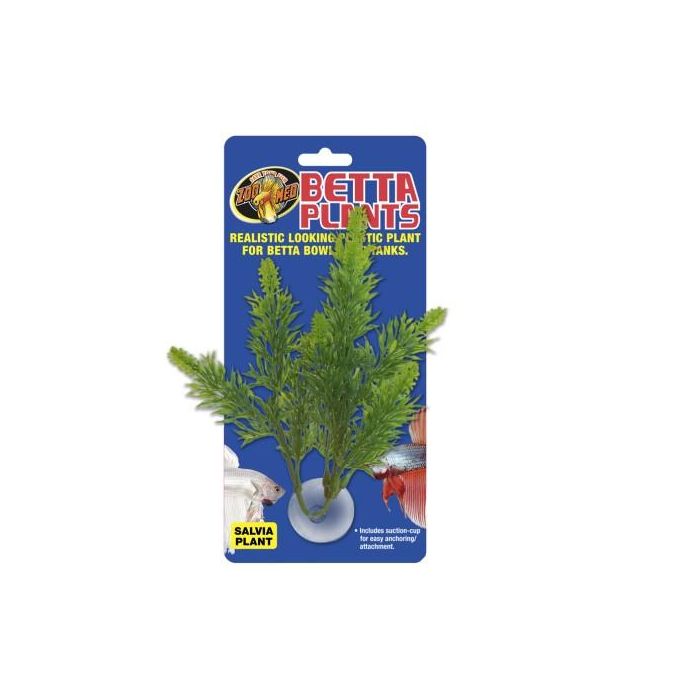 Nayeco Betta Plant Salvia 1