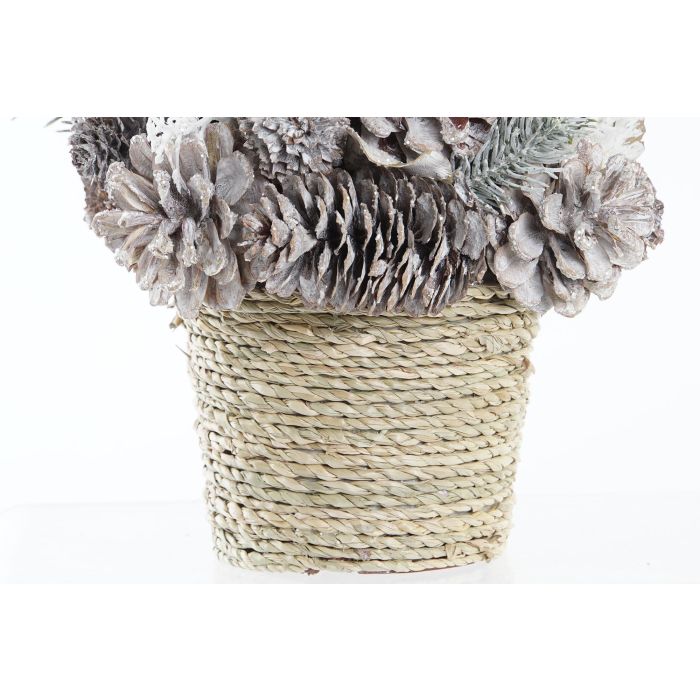 DKD Home Decor Centro de Mesa Navideño Alpino Blanco Rojo 19x19x19 cm (2 Unidades) – Decoración con Piña y Porexpan 1 DKD Home Decor Centro de Mesa Navideño Alpino Blanco Rojo 19x19x19 cm (2 Unidades) – Decoración con Piña y Porexpan 1