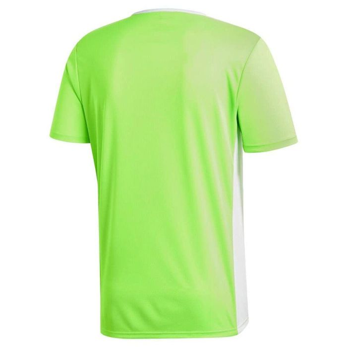 Camiseta de Manga Corta Hombre Adidas Entrada 80 1