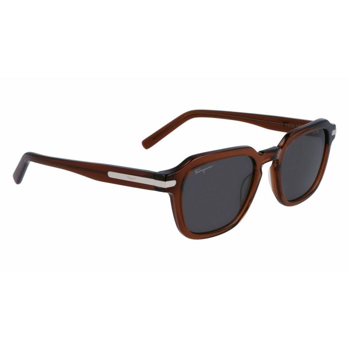 Gafas de Sol Hombre Salvatore Ferragamo SF1089S-5221278 Ø 52 mm 1 Gafas de Sol Hombre Salvatore Ferragamo SF1089S-5221278 Ø 52 mm 1