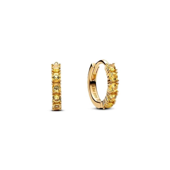 Pendientes Mujer Pandora 263849C01 Pendientes Mujer Pandora 263849C01