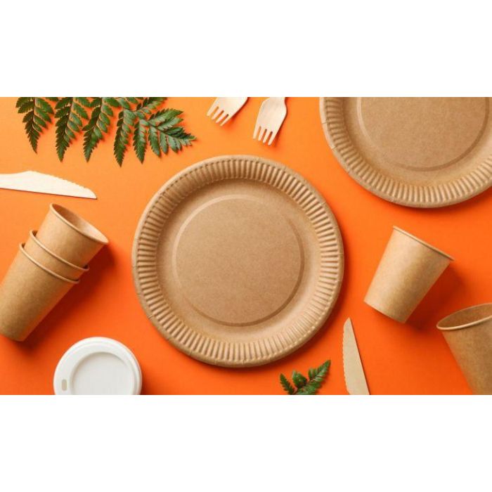 Set de 10 platos de cartón Kraft 20 cm Algon (24 Cajas) 2 Set de 10 platos de cartón Kraft 20 cm Algon (24 Cajas) 2