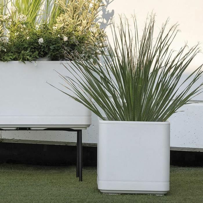 Deroma 9HN1QSZ Maceta Cubo Cosmo Perla con reserva de agua y ruedas, 38 cm 4 Deroma 9HN1QSZ Maceta Cubo Cosmo Perla con reserva de agua y ruedas, 38 cm 4