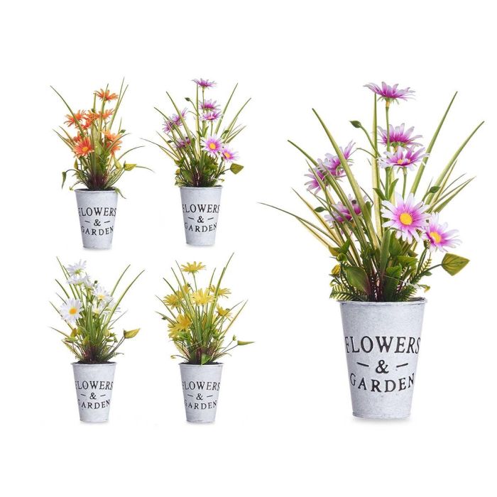 Planta Margarita Bote Metal Surtidos Ibergarden 15x31x15cm (12 Unidades) 0 Planta Margarita Bote Metal Surtidos Ibergarden 15x31x15cm (12 Unidades) 0