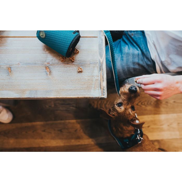 Hunter Portapremios Hilo Basic Turquesa 14x10x8cm Poliéster/Malla 3D 2