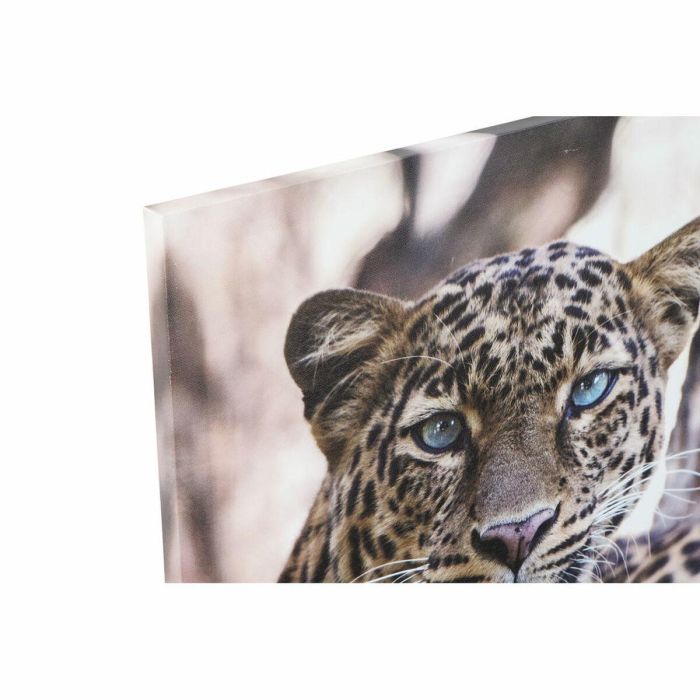 Cuadro Colonial DKD Home Decor Multicolor 1.8 x 70 x 50 cm (3 Unidades) 1 Cuadro Colonial DKD Home Decor Multicolor 1.8 x 70 x 50 cm (3 Unidades) 1