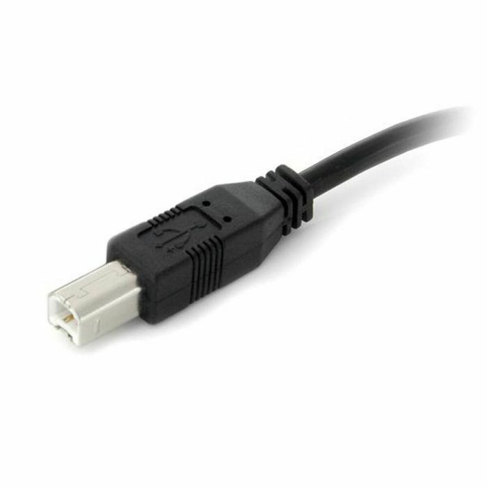 Cable USB A a USB B Startech USB2HAB30AC Negro 2