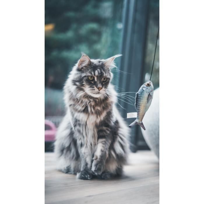 Juguete para gatos Aimé Madera 2