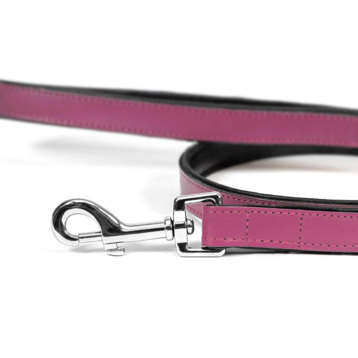 Gloria Correa Piel Auténtica Acolchada para Perro 100 cm x 18 mm, Suave, Mosquetón Robusto Retráctil, 3 Capas, Cosido Reforzado 2 Gloria Correa Piel Auténtica Acolchada para Perro 100 cm x 18 mm, Suave, Mosquetón Robusto Retráctil, 3 Capas, Cosido Reforzado 2