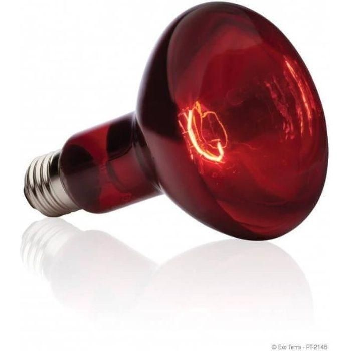 Exo Terra Lámpara Infrarroja Basking Spot 75W - Bombilla Calefactora con Reflector Incorporado para Aportar Calor Direccional a Reptiles y Terrarios Exo Terra Lámpara Infrarroja Basking Spot 75W - Bombilla Calefactora con Reflector Incorporado para Aportar Calor Direccional a Reptiles y Terrarios