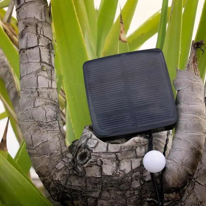 LUMI GARDEN Guirnalda luminosa de bola Billy Solar - Luz blanca cálida - 60 bolas - 700 cm - Interior/Exterior 4 LUMI GARDEN Guirnalda luminosa de bola Billy Solar - Luz blanca cálida - 60 bolas - 700 cm - Interior/Exterior 4