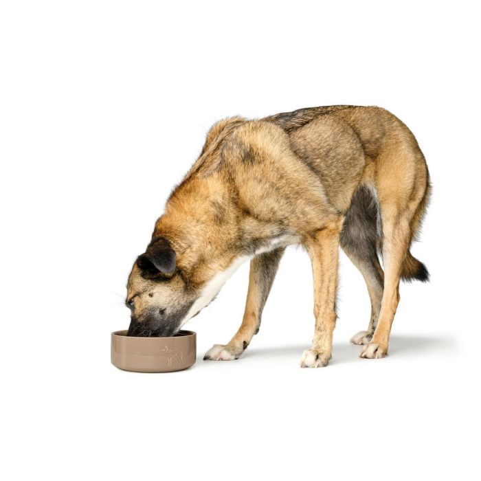Comedero para Perro Hunter OSBY Beige Cerámica 350 ml 2 Comedero para Perro Hunter OSBY Beige Cerámica 350 ml 2