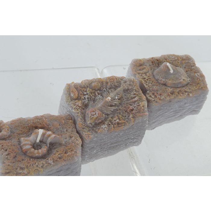 DKD Home Decor Vela Mediterraneo de Cera Gris Ambar 7.4x4.6x8 cm 0.17 kg (24 Unidades) 1 DKD Home Decor Vela Mediterraneo de Cera Gris Ambar 7.4x4.6x8 cm 0.17 kg (24 Unidades) 1