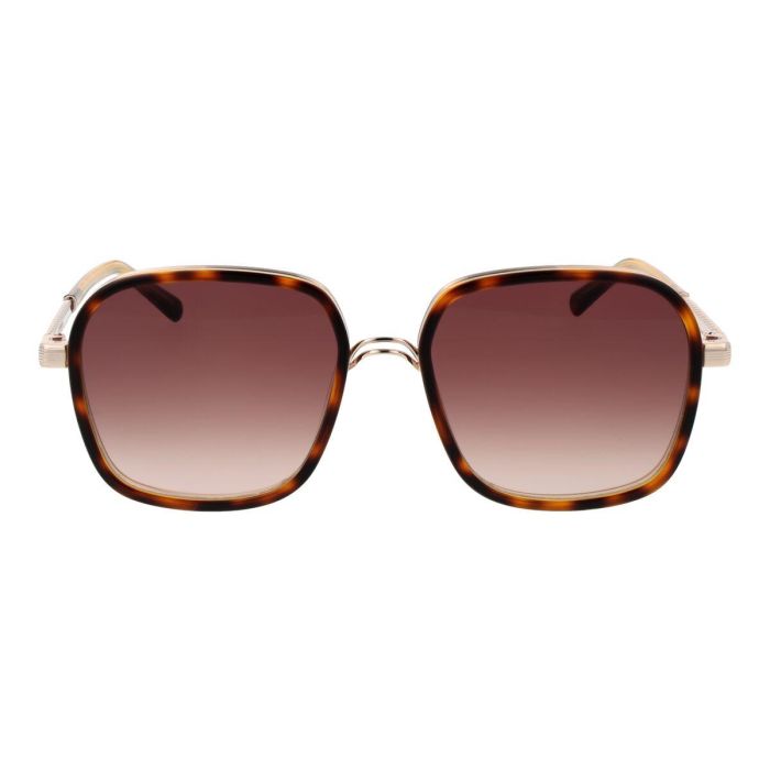 Gafas de Sol Mujer Sandro Paris SD6050 54170 2 Gafas de Sol Mujer Sandro Paris SD6050 54170 2