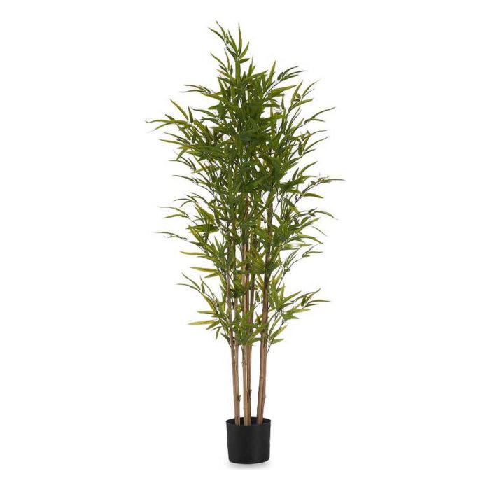 Planta con Maceta de Bambú Mediano 150 cm - Ibergarden Planta con Maceta de Bambú Mediano 150 cm - Ibergarden