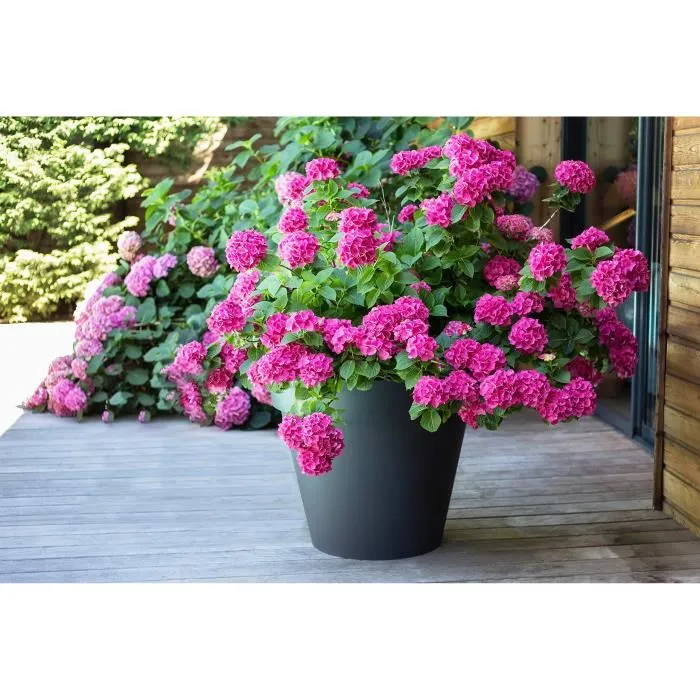 Eda Maceta Toscana Redonda Ø 60 x H 47 cm - 76 L - Gris Antracita - Resistente a Heladas y UV 1