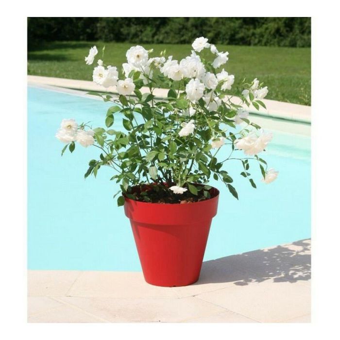 Riviera Soleilla Ronda Maceta Ø 39.2 x 35.8 cm, Rojo 25 L, resistente a heladas y UV, fabricación francesa 2 Riviera Soleilla Ronda Maceta Ø 39.2 x 35.8 cm, Rojo 25 L, resistente a heladas y UV, fabricación francesa 2