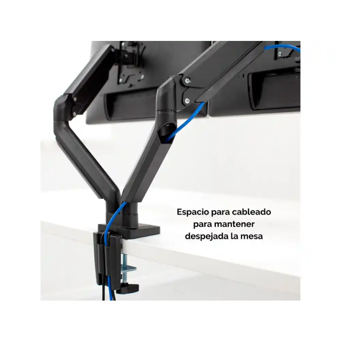 Fellowes Platinum Series Dual Arm Brazo para Monitor Doble VESA Pantallas hasta 9" 2