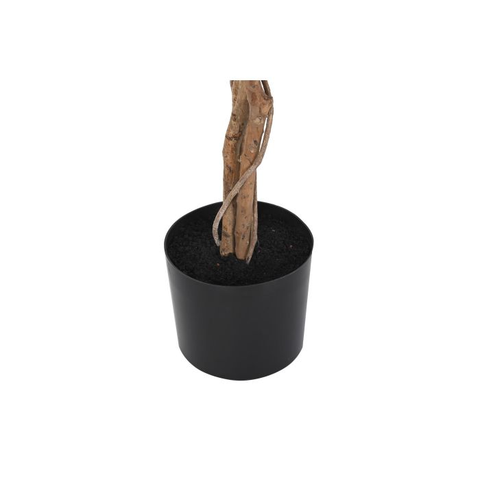 DKD Home Decor Árbol Higuera de Bengala Verde 90 x 180 x 90 cm (2 Unidades) 2