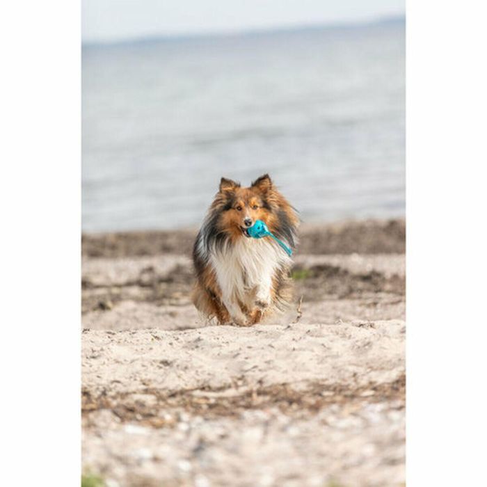Pelota para Mascotas Trixie Turquesa TPE Bola ø 6 x 23 cm 7 Pelota para Mascotas Trixie Turquesa TPE Bola ø 6 x 23 cm 7