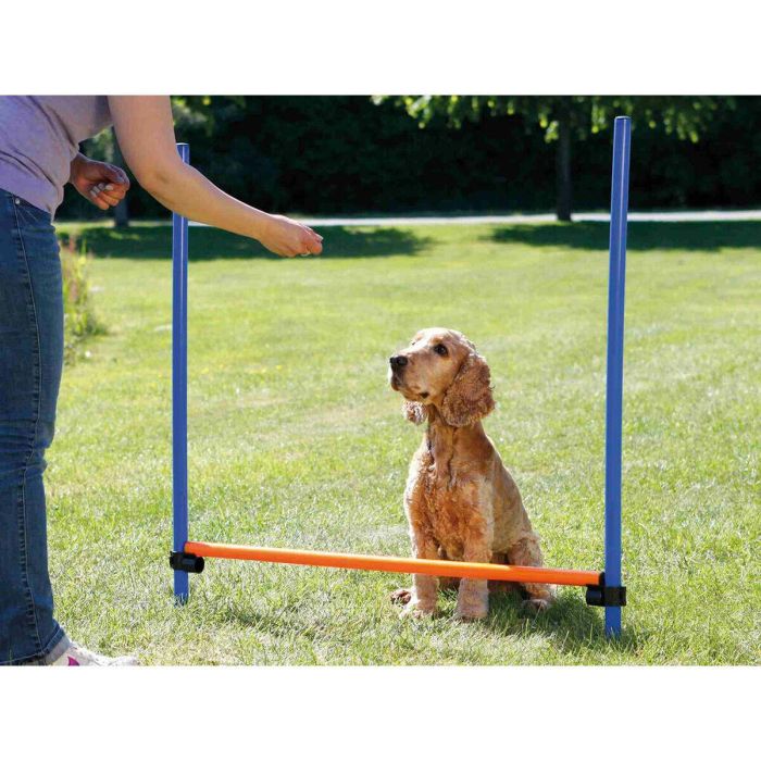 Juguete de adiestramiento Trixie 2