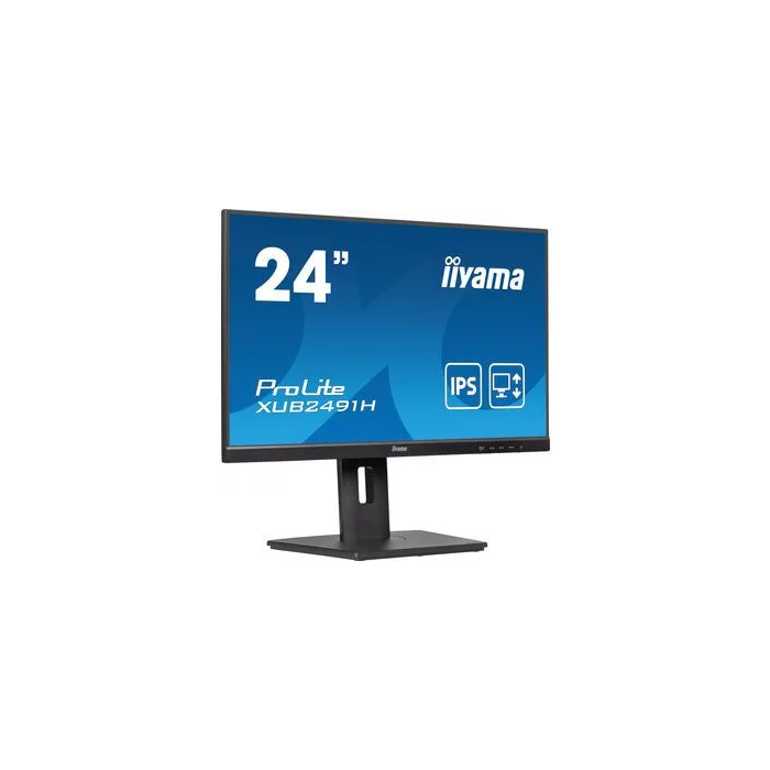 Iiyama Monitor XUB2491H-B1 23.8" FHD IPS 100 Hz 0.5 ms HDMI/DP VESA Negro