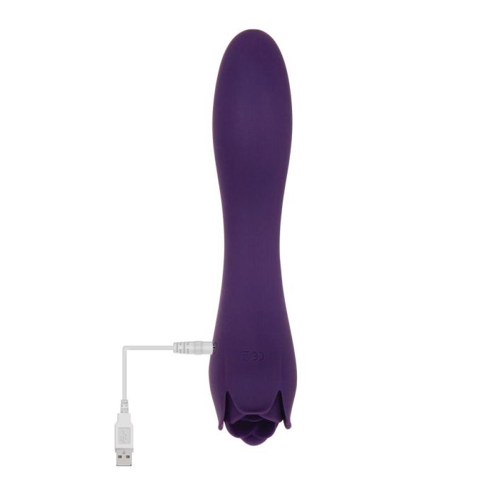 Vibrador Evolved Morado 15 Vibrador Evolved Morado 15