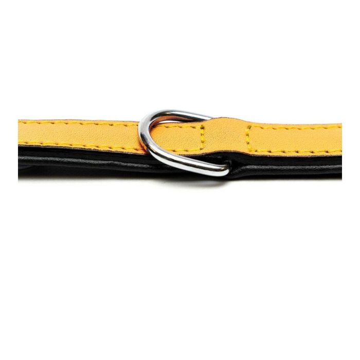 Collar para Perro Gloria Acolchado Amarillo (50 x 2,5 cm) 2 Collar para Perro Gloria Acolchado Amarillo (50 x 2,5 cm) 2